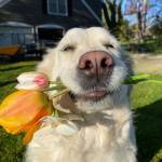 Kevin Ch profile picture