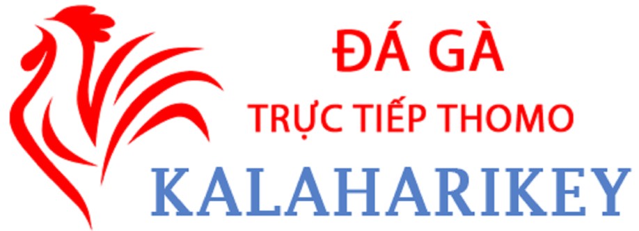 Đá Gà Trực Tiếp Thomo Cover Image