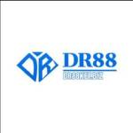 DR 88 Profile Picture
