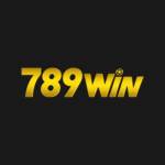 789WIN ventures Profile Picture