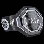WWE Championship Replica Belt Profile Picture