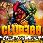 ROYALBETKING X PLATFORM MEDIA PERMAINAN Profile Picture