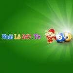 Nuôi lô khung 247 Profile Picture