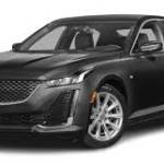 Annapolis luxury transportation Profile Picture