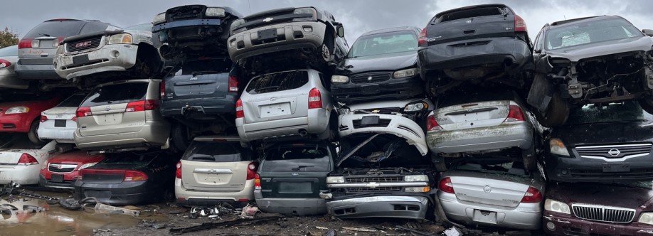 dankish dankish Cover Image