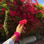 Buy Verified OKX Accounts profile picture