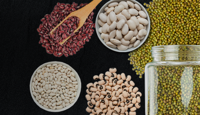 Premium Pulses Supplier Bringing Madagascar’s Rich Harvests to the World - Robust Madagascar