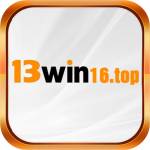 13win16 top Profile Picture