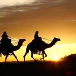 ASDASD ASDASD Profile Picture