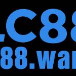 lc88wang lc88wang Profile Picture