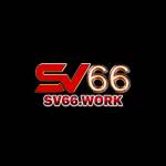 SV66 Work Profile Picture