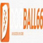 dooball66 bet Profile Picture