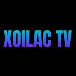 frogmouthclothingcom lua dao Profile Picture