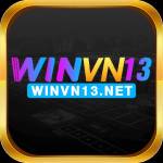Winvn13 Profile Picture