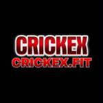 Crickex Leading Sports Betting profile picture