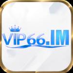 vip66 im Profile Picture