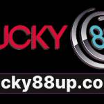 Lucky88 Lucky88 Profile Picture