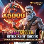 TOTOKITA1 OFFICIAL Profile Picture