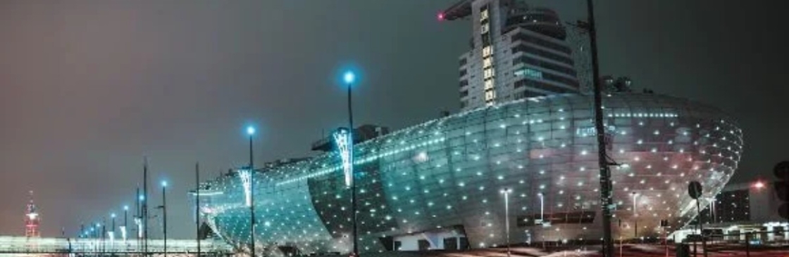 LEIZUR LTD Cover Image