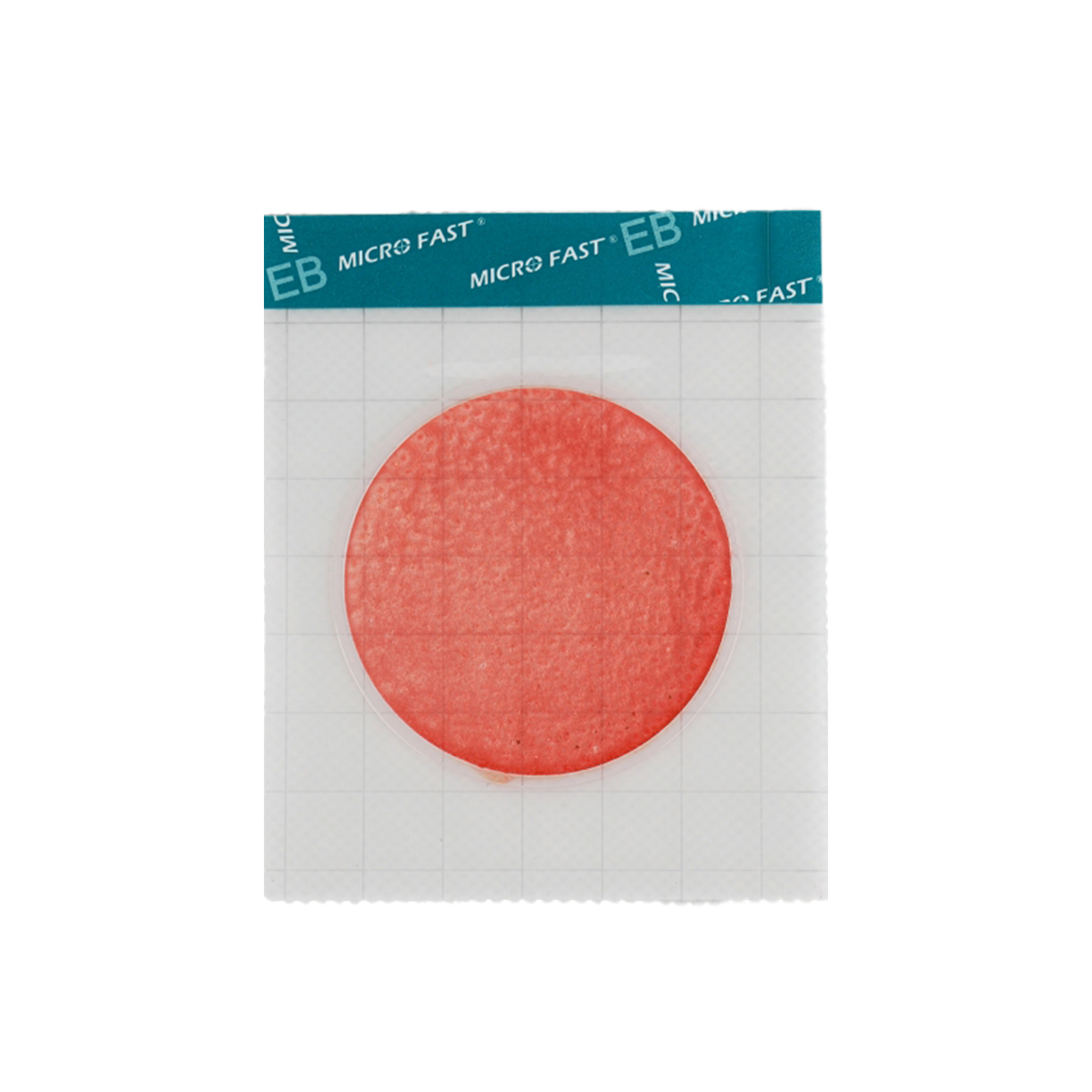 Accurate and Reliable Microfast® Enterobacteriaceae Count Plate (EB)