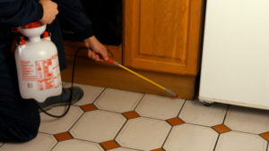 Pest Control Clyde North - Enviro Safe Pest Control Clyde North