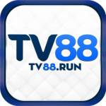 tv88run tv88run Profile Picture