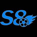 S8 team Profile Picture
