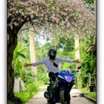 Nhà cái TMIRTX Profile Picture