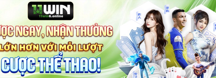 11win6 online Cover Image