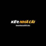 Kèo Nhà Cái 55 Biz Profile Picture