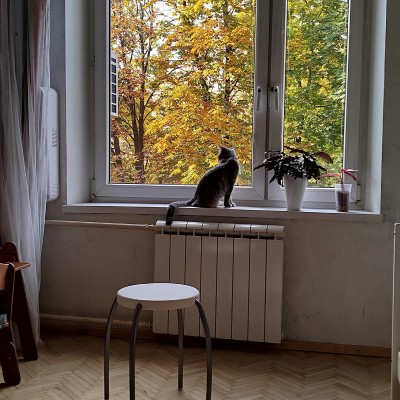 рлд Profile Picture