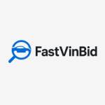 FastVinBid Vehicle Price Check Profile Picture