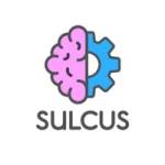 Sulcus Learning Profile Picture