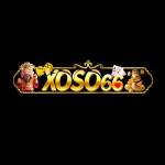 xoso66 work Profile Picture
