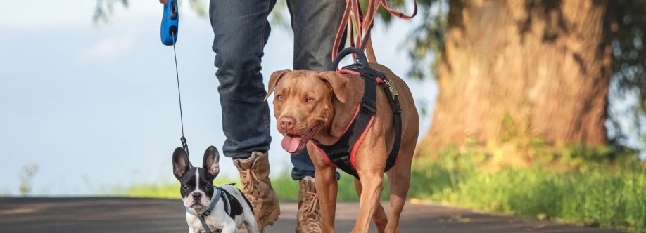 Paw Partners Cover Image