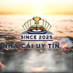 tinhhoavietvn com Profile Picture