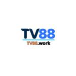 TV 88 Profile Picture