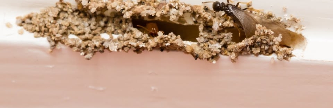 The Bug Master Cover Image