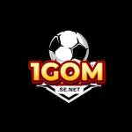 1gom SE Profile Picture