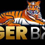 Tiger Book Profile Picture