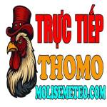 ĐÁ GÀ TRỰC TIẾP THOMO HÔM NAY Profile Picture