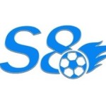 S8 works Profile Picture