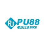 PU88 Profile Picture