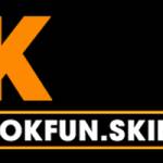 OKFUN skin