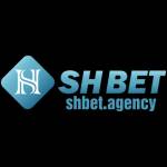 Shbet agency Profile Picture
