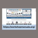 Workshop Manuals Profile Picture