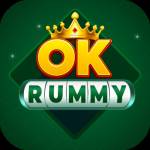 okrummy co Profile Picture
