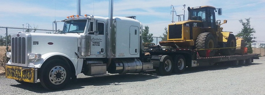 Janis Saehlenou Cover Image