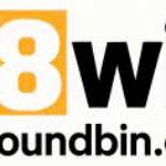 thefoundbin com Profile Picture