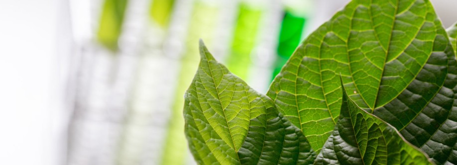 Mitra Science Cover Image